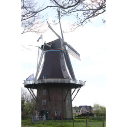 Middelstum - De Hoop 01